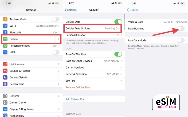 loi esim khong bat duoc Data Roaming 2.jpg